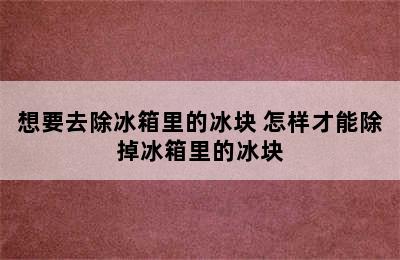 想要去除冰箱里的冰块 怎样才能除掉冰箱里的冰块